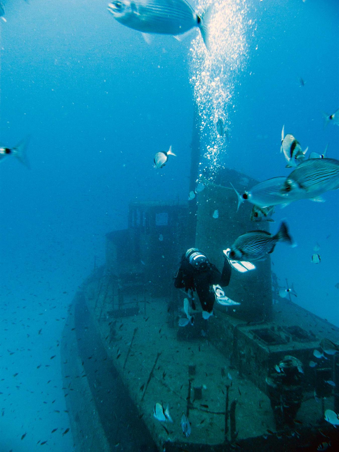Diving Rozi tug wreck