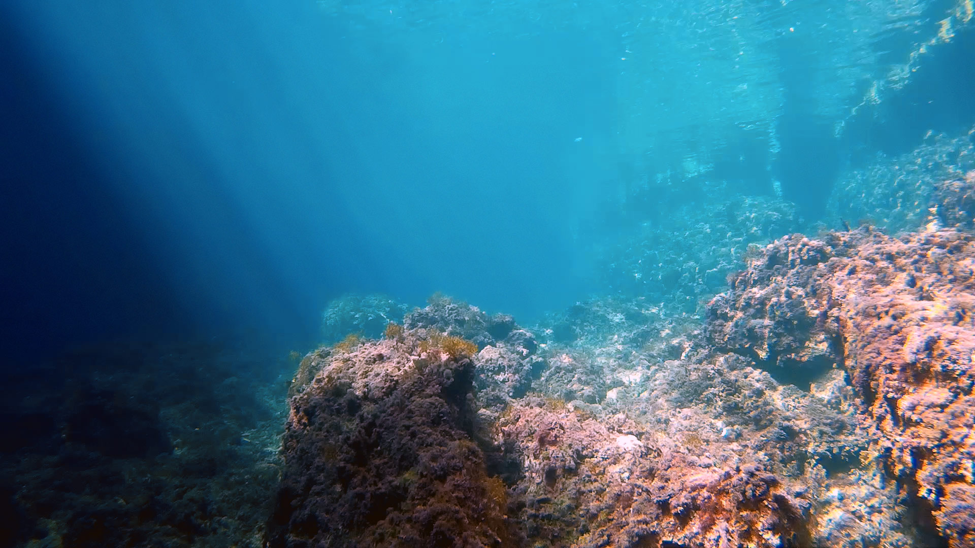 L'Ahrax Point Inland Sea corals