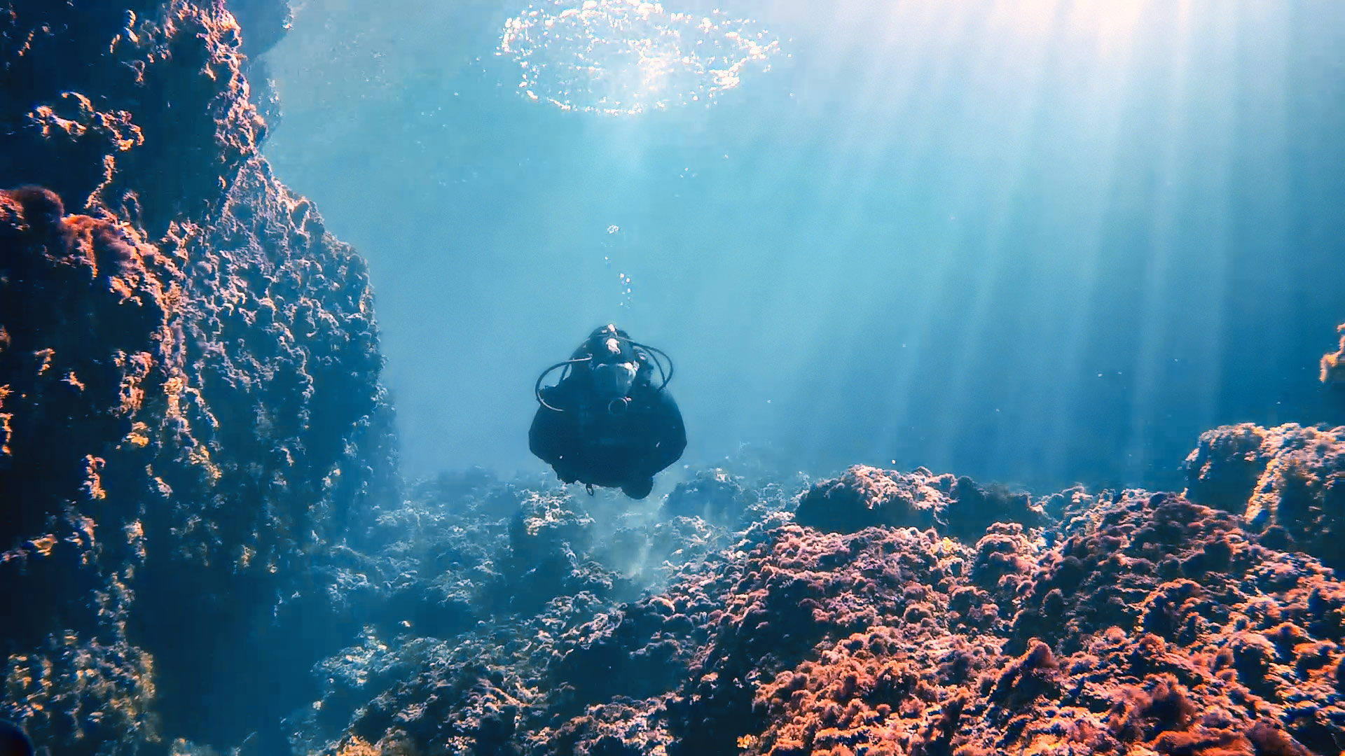 Diver in L'Ahrax Point Inland Sea (Dragonara Cave / Coral Lagoon)