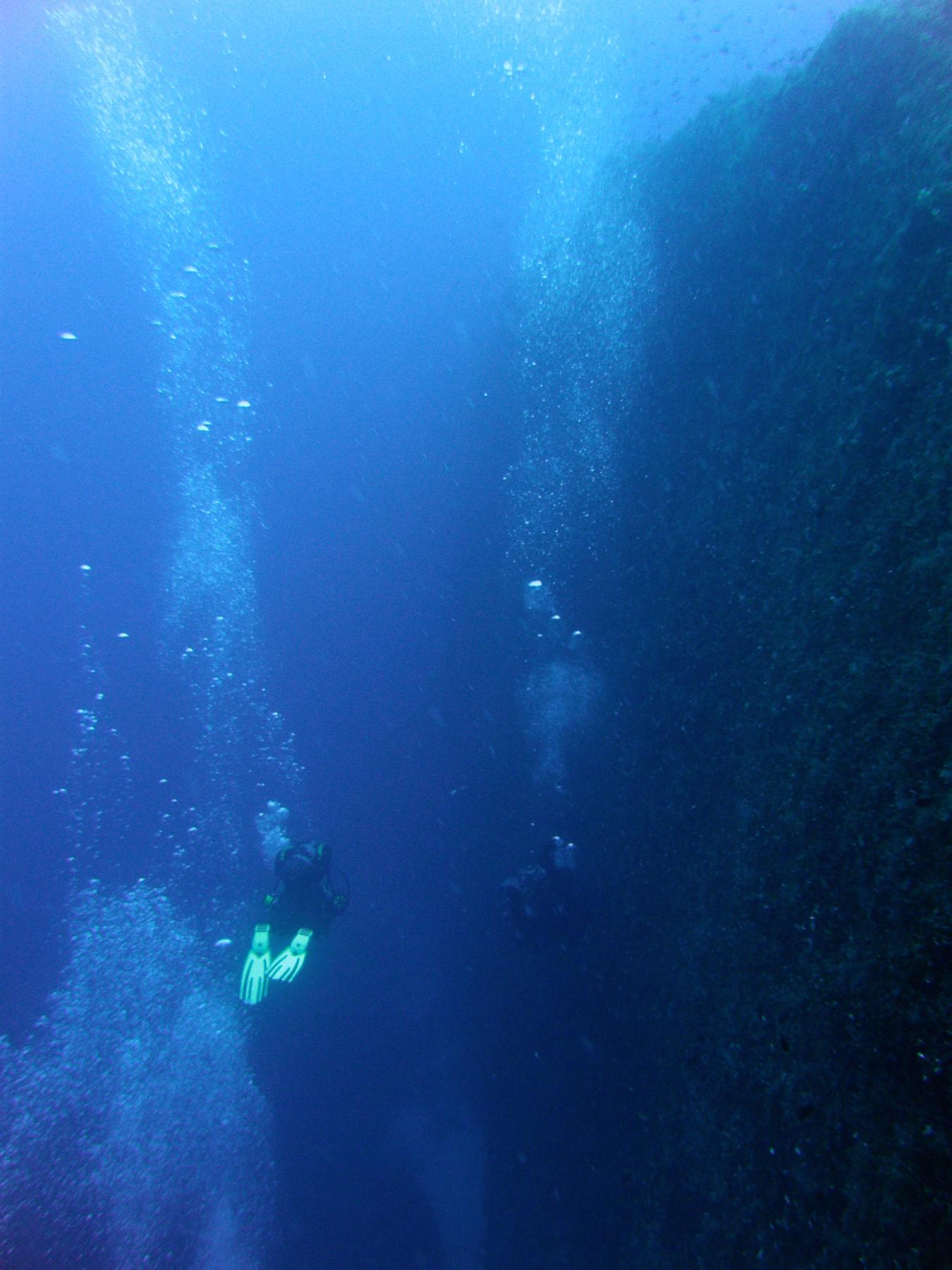 Divers on the wall of Devil's Reef