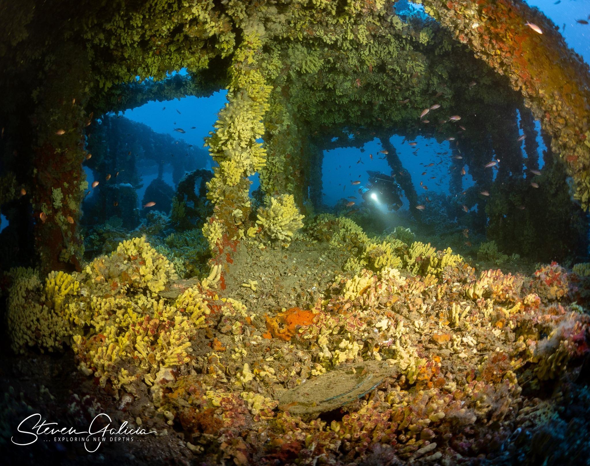 Amazing marine encrustation after 102 years on the seabed [Steven Galicia]