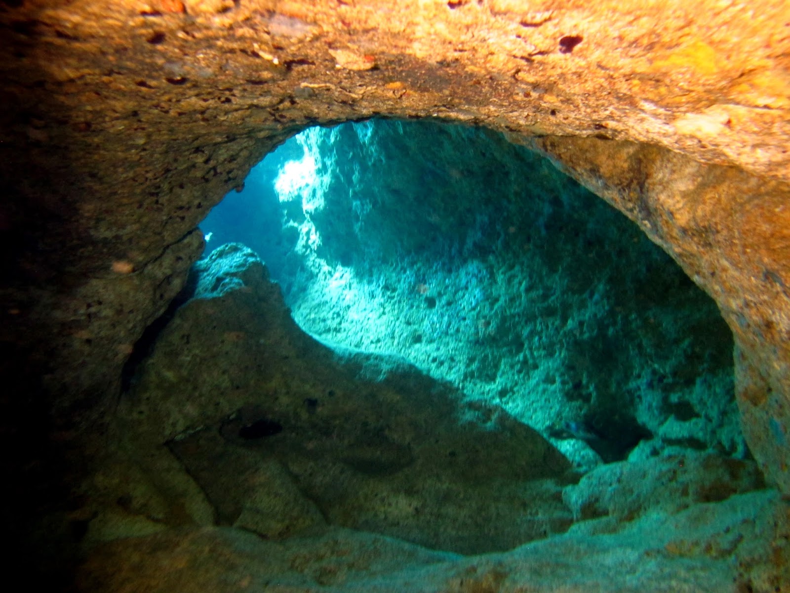 Xghajra Reef caves [Tech Diving Malta]