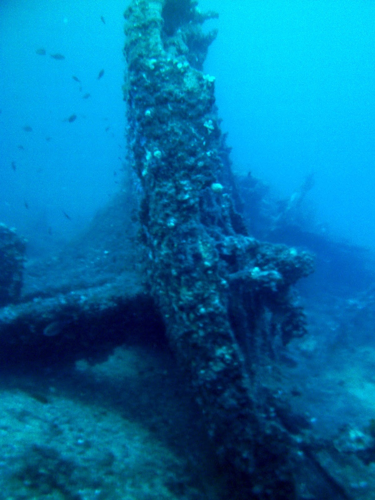 Casper's stern [Tech Diving Malta]