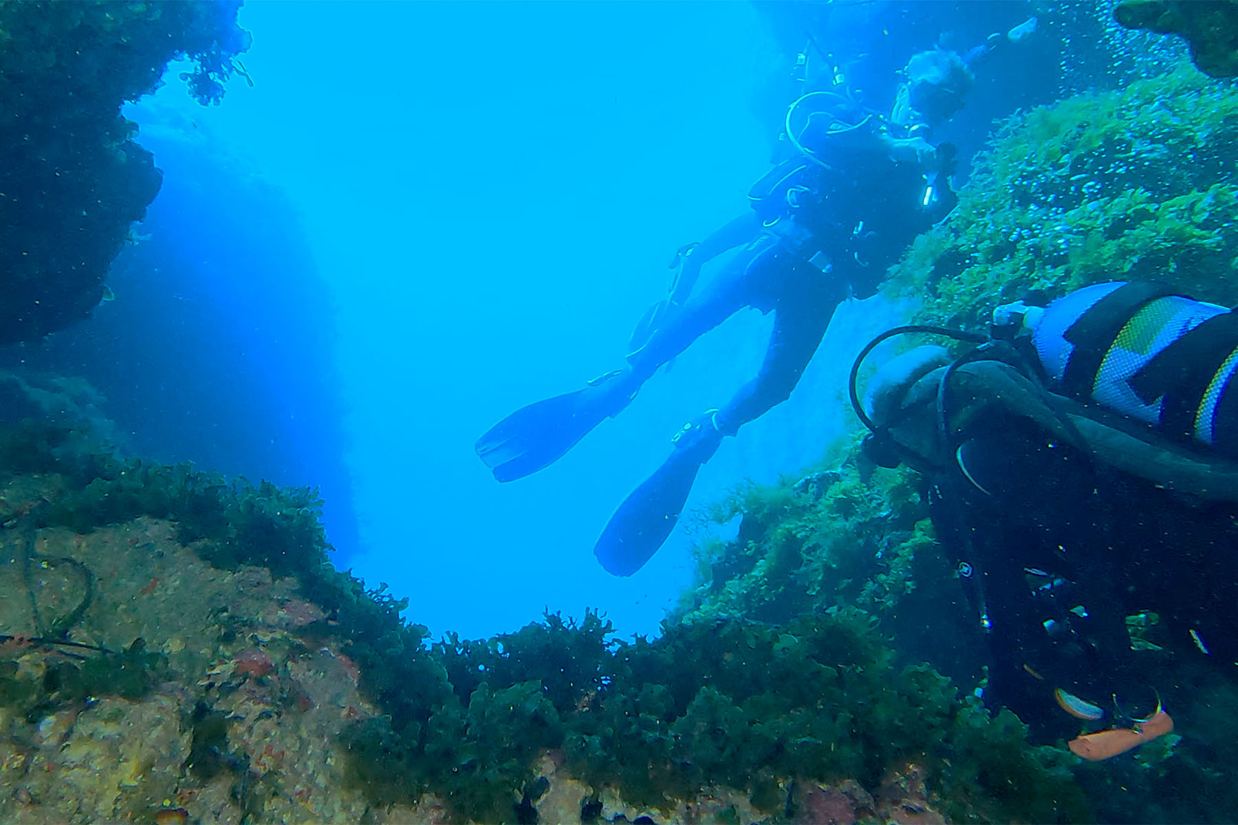 Diver at Lantern Point [Yvan Rouxel]